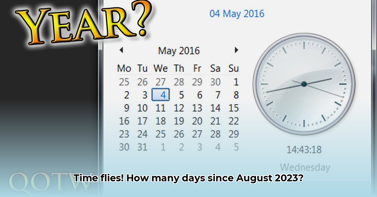 how-long-has-it-been-since-august-2023